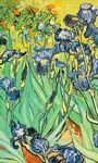 pic for Van Gogh